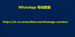 WhatsApp 手机号码数据
